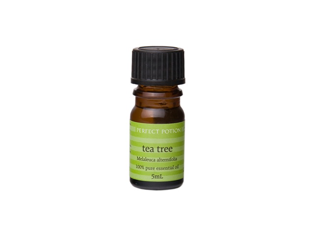 Tea Tree Melaleuca alternifolia 10ml - Organic